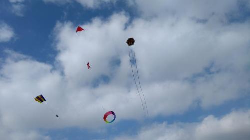 Kite Flying